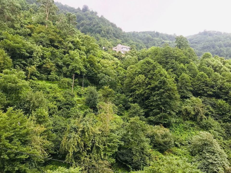Giorgi Kvariati Exterior foto